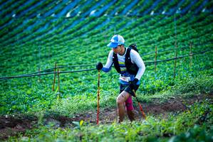 BIB: 
                            <button type="button" onclick="openModal(19160187)" class="btn btn-primary btn-sm float-right btn-popup" data-toggle="modal" data-target=".modal-high-quality">
                        <i class="fas fa-shopping-cart"></i> Add to Cart
                    </button>
                                            <button type="button" onclick="isThisMe(19160187, true)" class="btn btn-success btn-sm float-right btn-popup btn-isme hidden" data-toggle="tooltip" data-placement="bottom" title="นี่คือรูปของคุณใช่ไหม คลิกที่นี่เพื่อเอาเข้าอัลบั้ม">
                        <i class="fas fa-plus"></i> Add to album
                    </button>
                    <button type="button" onclick="isThisMe(19160187, false)" class="btn btn-warning btn-sm float-right btn-popup btn-isnotme hidden">
                        <i class="fas fa-ban"></i> Remove from album
                    </button>